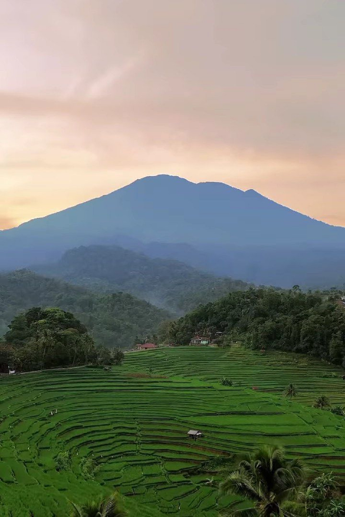 Spot Foto Menarik! Wisata Taman Nasioal Gunung Ciremai yang Cocok untuk Nangkring di Feed Instagram