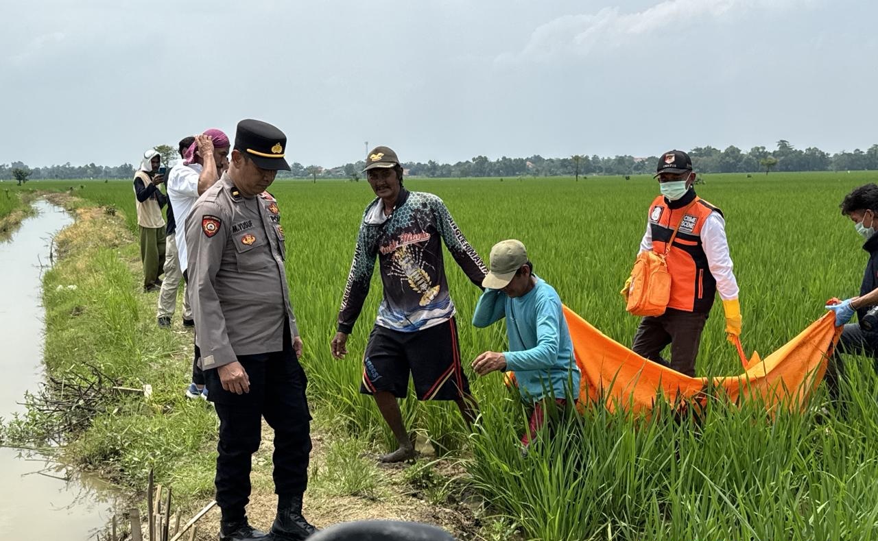Polres Majalengka Gerak Cepat Cek TKP Penemuan Mayat di Sawah Sumber Kulon Jatitujuh