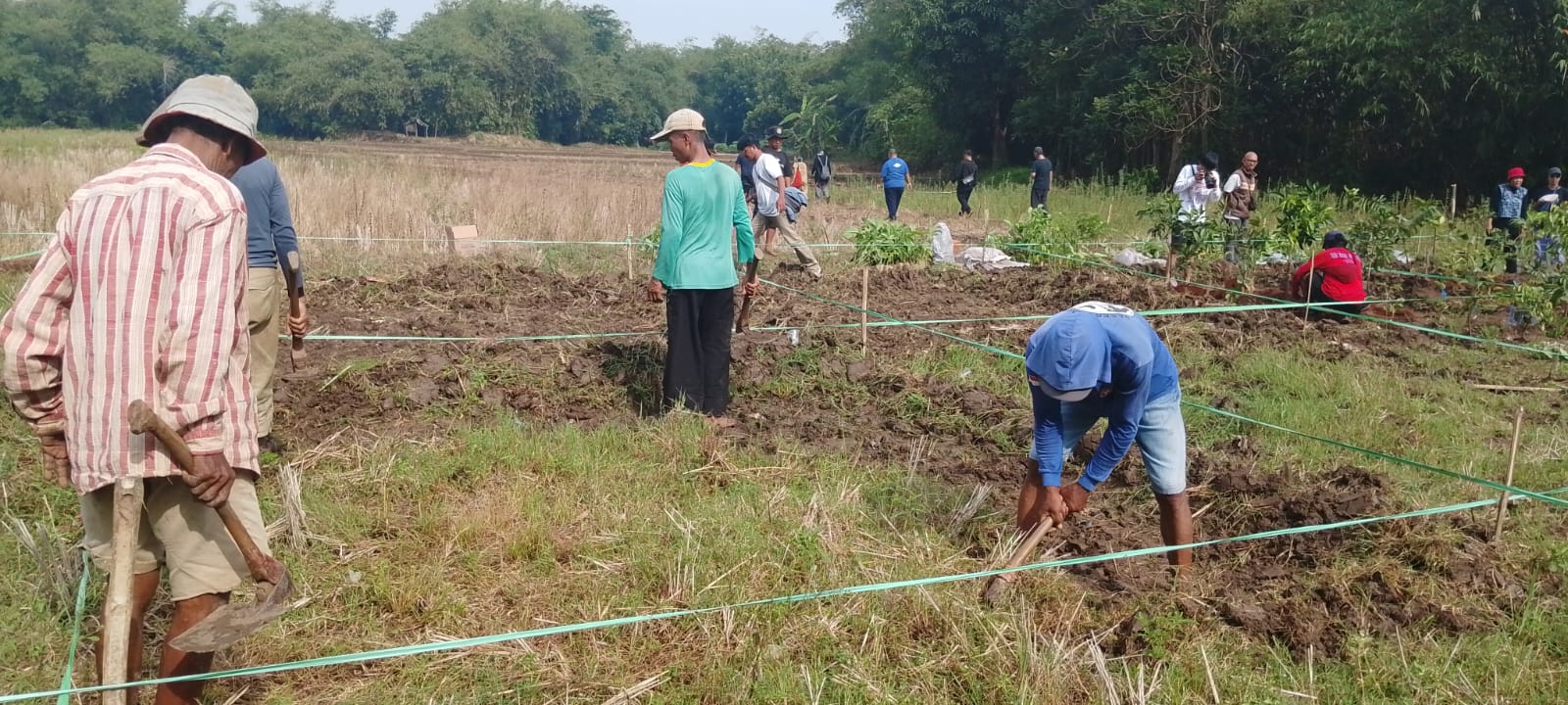 Warga Kini Bisa Punya Hutan Sendiri di Jatiwangi, Cukup dengan Lahan 4x4 Meter Lewat Perhutana