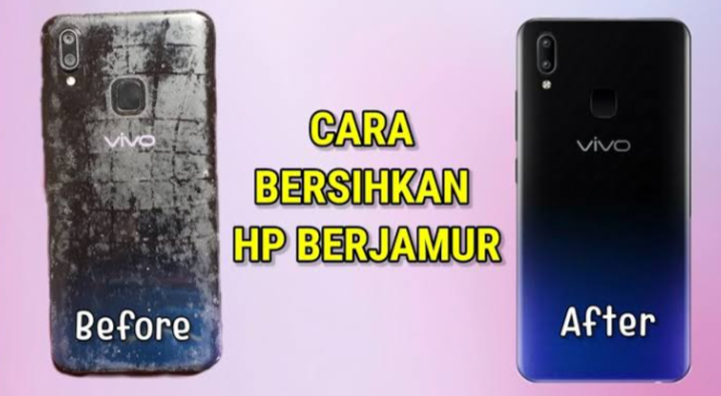 4 Cara Menghilangkan Jamur di HP dengan Mudah, Ampuh Dan Tidak Ribet!