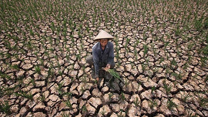 11 Kabupaten Jabar Termasuk Cirebon-Majalengka 'Gosong' El Nino, Kok Mirip Ramalan Jayabaya?