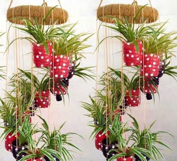 Wajib Coba! 5 Tanaman Hidroponik Minimalis yang Mudah Dirawat dan Cocok di Rumah Sempit