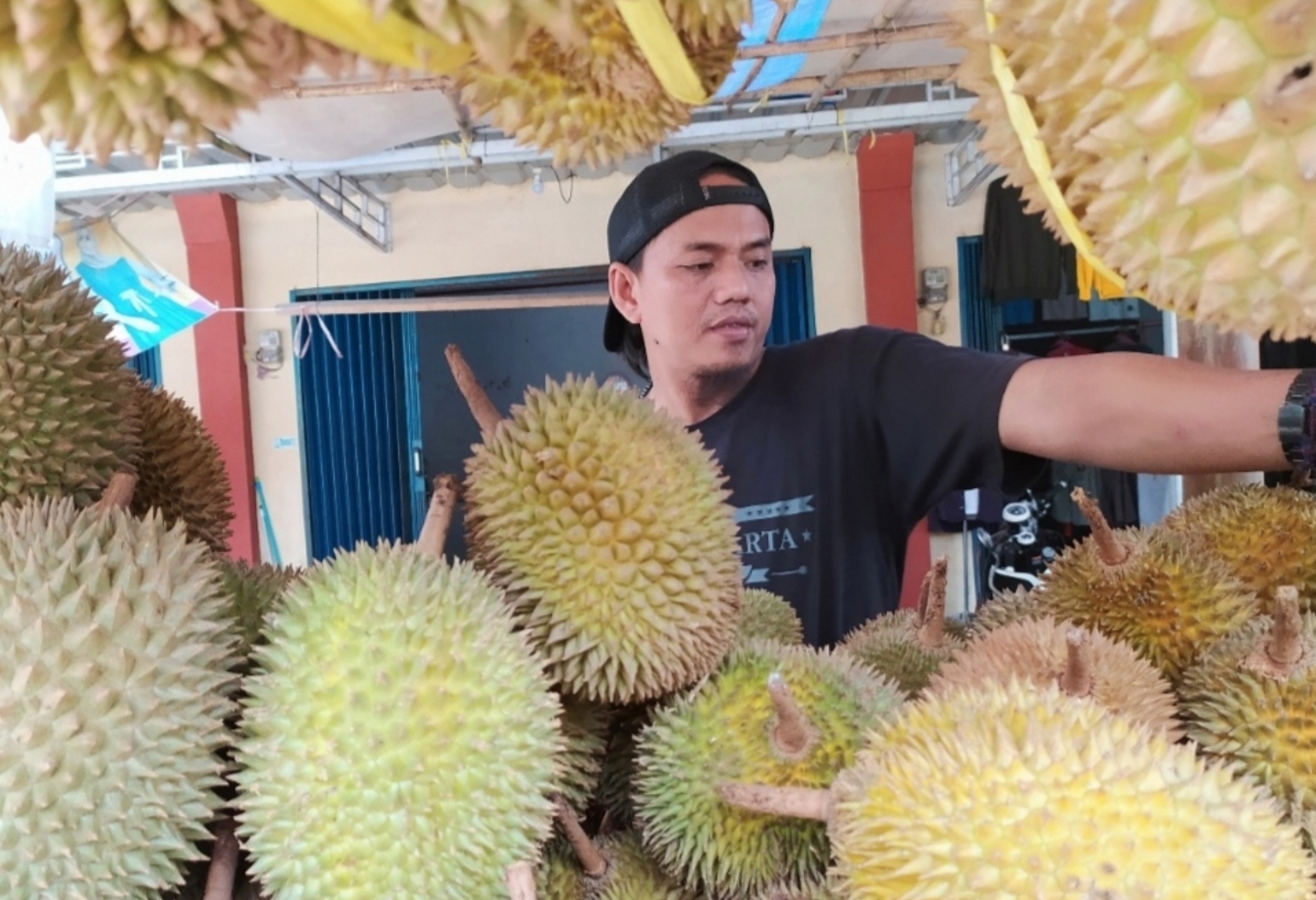 Wajib Coba Jenis Durian Di Sinapeul Majalengka Ada Yang Seperti Mentega Dan Lato Lato