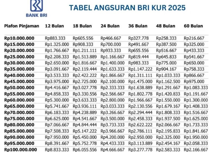 Cicilan Mulai 216 Ribu, Ini Skema Terbaru Tabel Pinjaman KUR BRI 100 Juta untuk UMKM