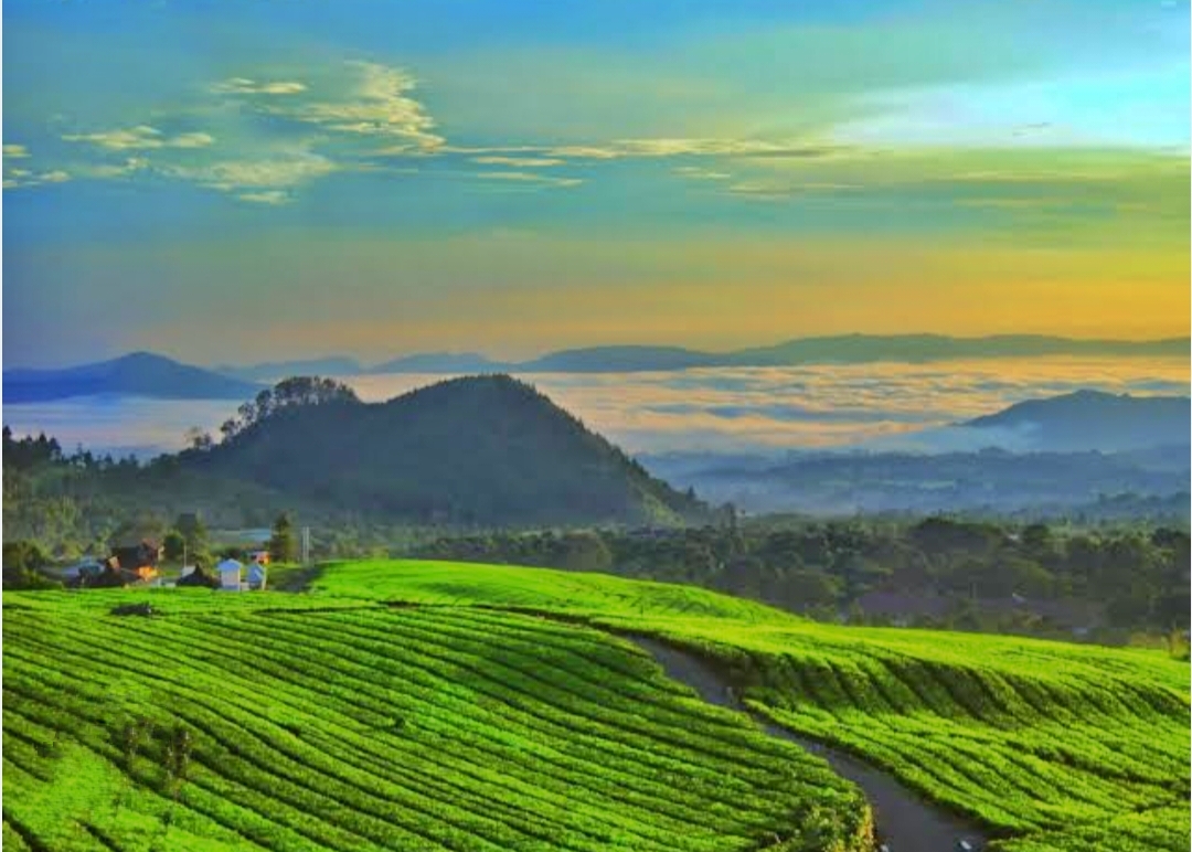 Prakiraan Cuaca di Subang Sabtu 11 Mei 2024