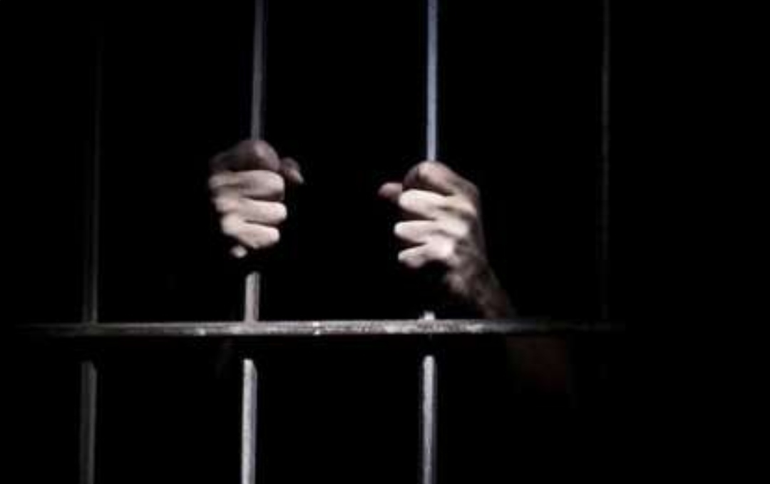 Hina Pemerintah Bisa Dipenjara 4 Tahun, RKUHP Pasal 241