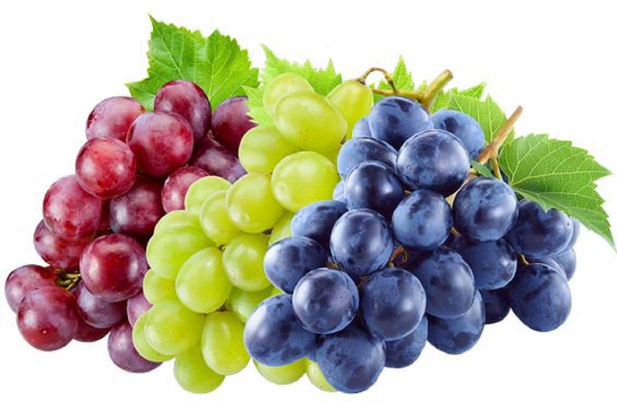 Mengulik Tentang Manfaat, Kandungan Nutrisi dan Cara Mengkonsumsi Anggur Agar Baik Untuk Kesehatan