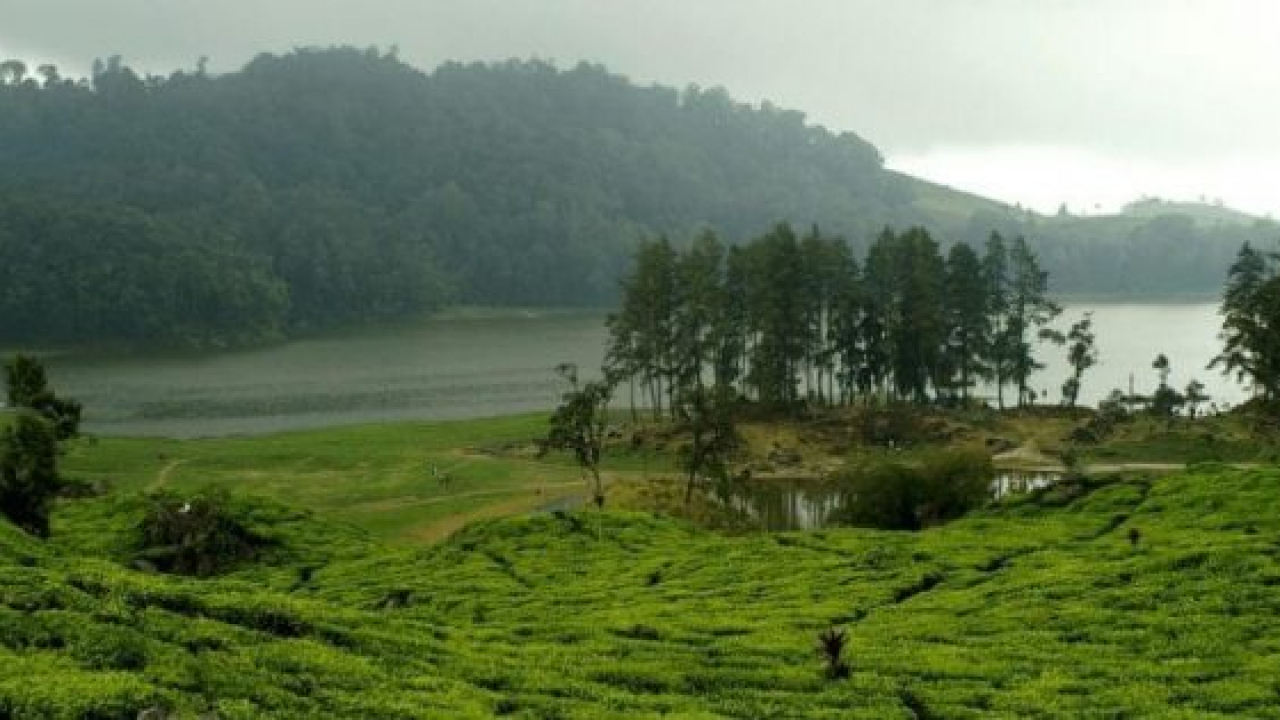 Yuk Gaskeun Wisata Murah Meriah dengan Pemandangan Alam yang Indah di Telaga Rengganis, Pemalang