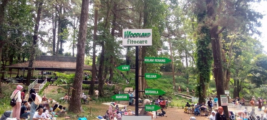 Wisata Woodland di Kabupaten Kuningan, Salah Satu Wisata Populer