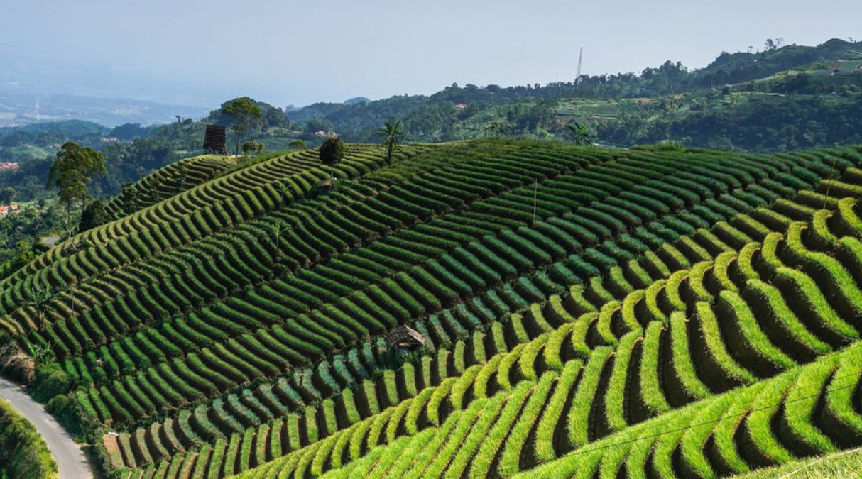 Cocok Untuk Liburan Keluarga, Ini 3 Destinasi Wisata Majalengka yang Cocok Untuk Segala Usia