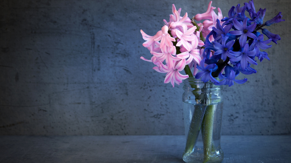 Simple Bikin Estetik! 6 Tanaman Hias dalam Vas yang Bikin Ruangan Langsung Cantik & Segar