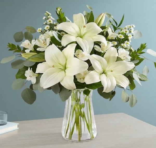 5 Tanaman Hias Pembawa Keberuntungan, Bikin Rezeki Mengalir Deras ke Rumah Pemilik