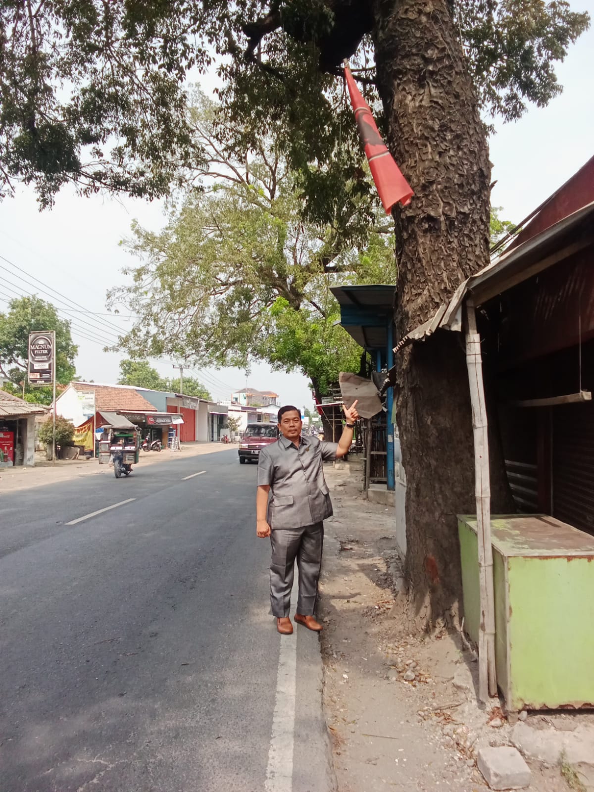 Pengajuan Penebangan Pohon Langsung ke PU Pusat