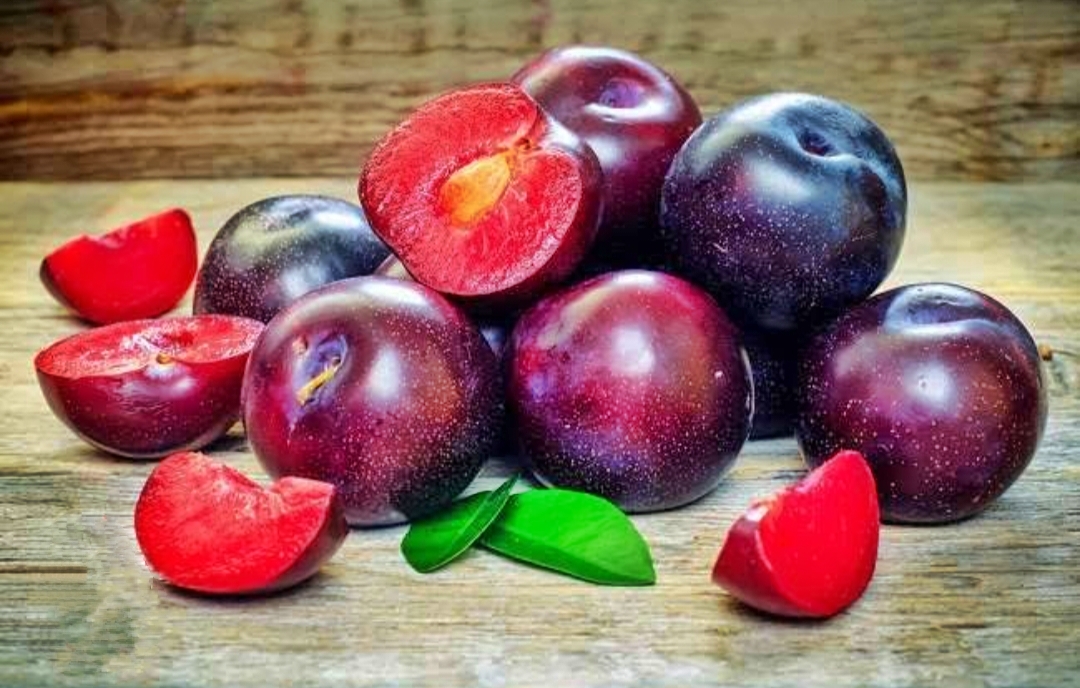 Ternyata Buah Plum Yang Jarang Diketahui Memiliki Banyak Manfaat Loh! Berikut Deretan Manfaatnya 