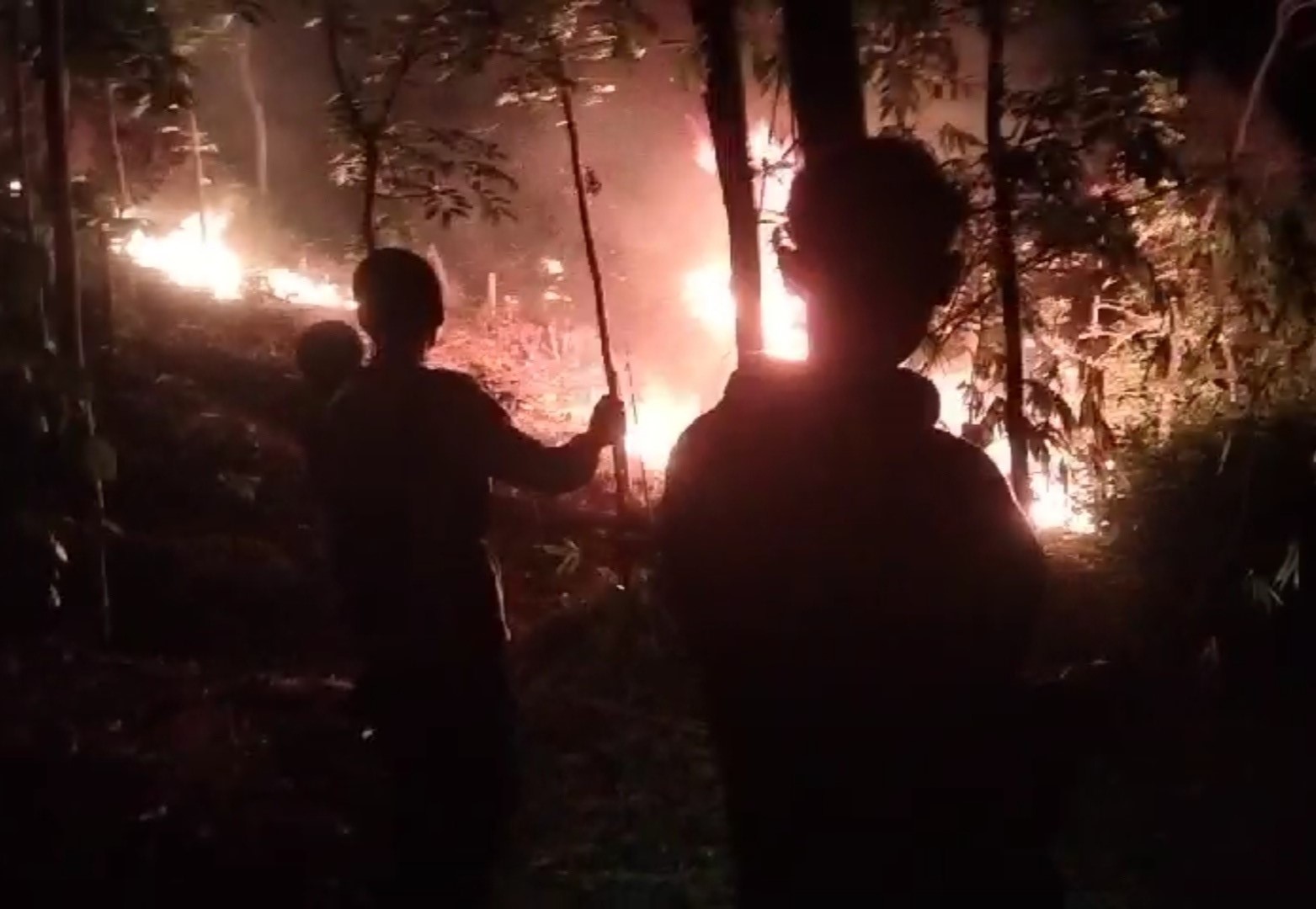 Waspadai Kebakaran, Hutan di Perbatasan Sindangwangi Kuningan kembali terbakar