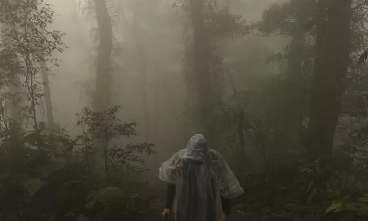 Menjelajahi Misteri Gunung Salak: Legenda, Mitos, dan Fakta Menarik