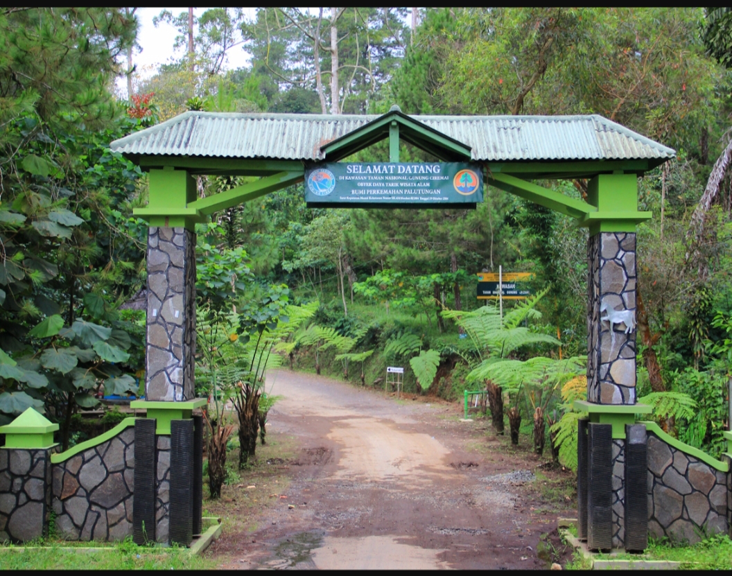 Mengenal Palutungan Kuningan, Destinasi wisata Alam di Kaki gunung Ciremai Pencinta Alam Harus tahu!