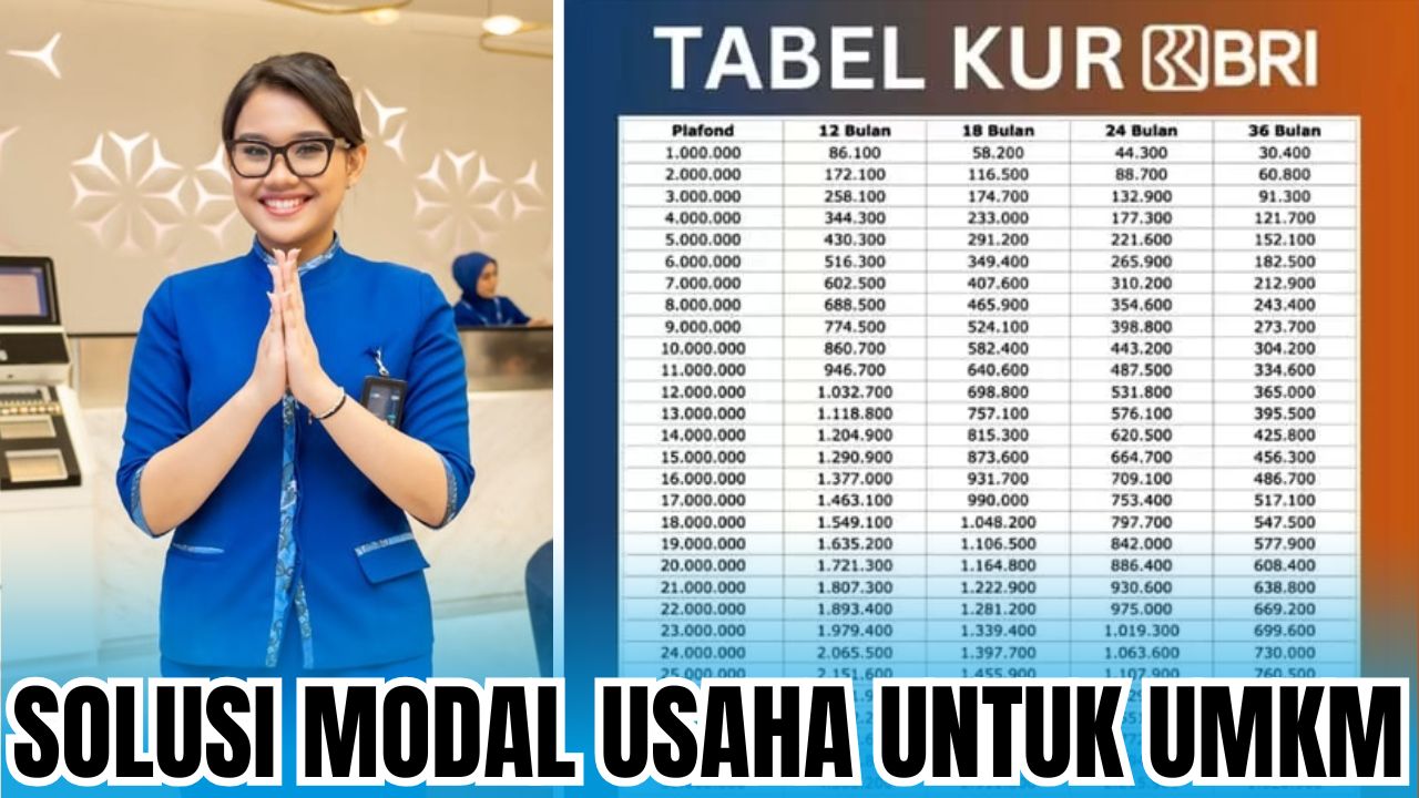 Susah Cari Modal Usaha Untuk UMKM? Simak Tabel Angsuran KUR BRI Desember 2025 Pinjaman 10 Juta Ini!