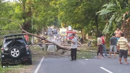 Waspadai Angin Kencang, 2022 tercatat ada 269 kasus bencana alam