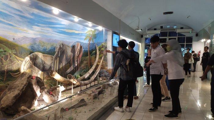 Berwisata Sambil Belajar Sejarah di Museum Sangiran Sragen, Fosil Manusia Purba Terlengkap di Asia