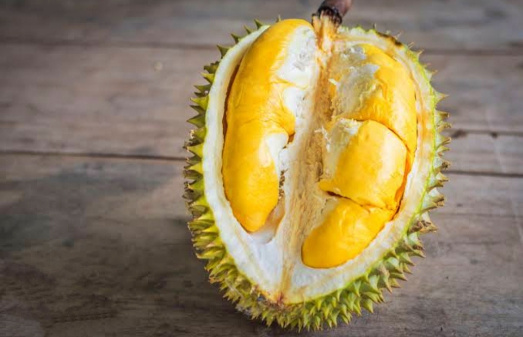 Mengenal Buah Durian Yang Kaya Akan Manfaat Berikut Deretan Manfaatnya 