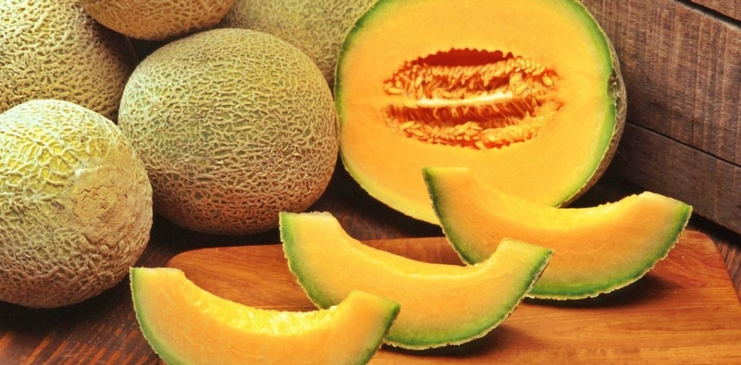 Buah melon ternyata mempunyai banyak manfaat loh! Yuk simak