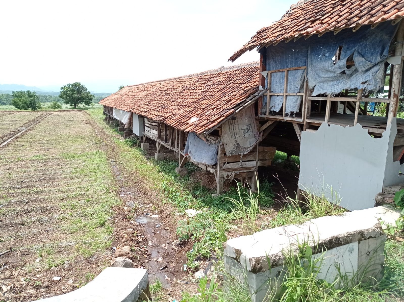 BUMDes Bonang Memprihatinkan