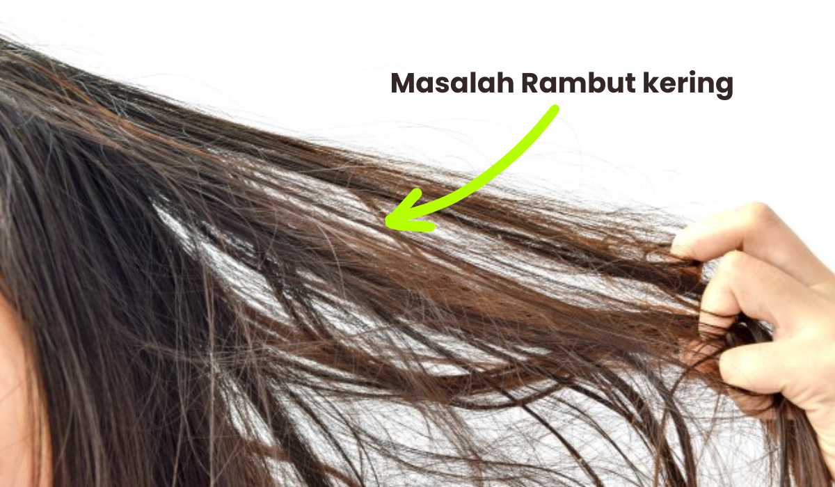 Rahasia Rambut Sehat! 8 Shampo yang Cocok untuk Rambut Kering, Hasilnya Bikin Terpesona