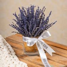 Bisa Jadi Pengharum Ruangan Alami! Ini 5 Tanaman Hias Indoor yang Memiliki Aroma Semerbak untuk Dekorasi Inter