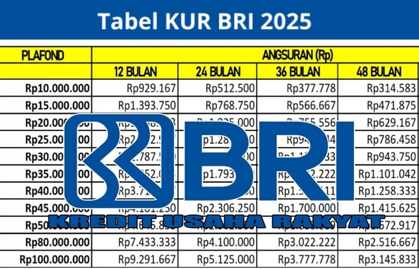 Solusi Modal Usaha untuk UMKM, Ajukan Pinjaman KUR BRI Plafon Rp100 Juta dengan Bunga Rendah Terbaru 