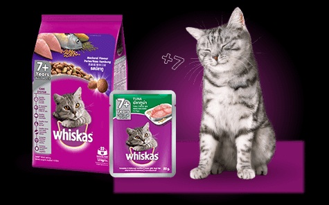 Rekomendasi Produk Whiskas Makanan Basah dan Kering Untuk Kucing