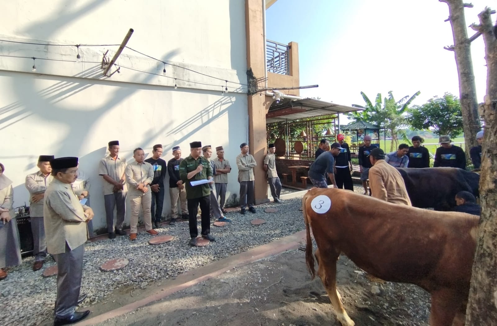 Instbunas Majalengka Kurban 4 Ekor Sapi dan Tiga Ekor Kambing