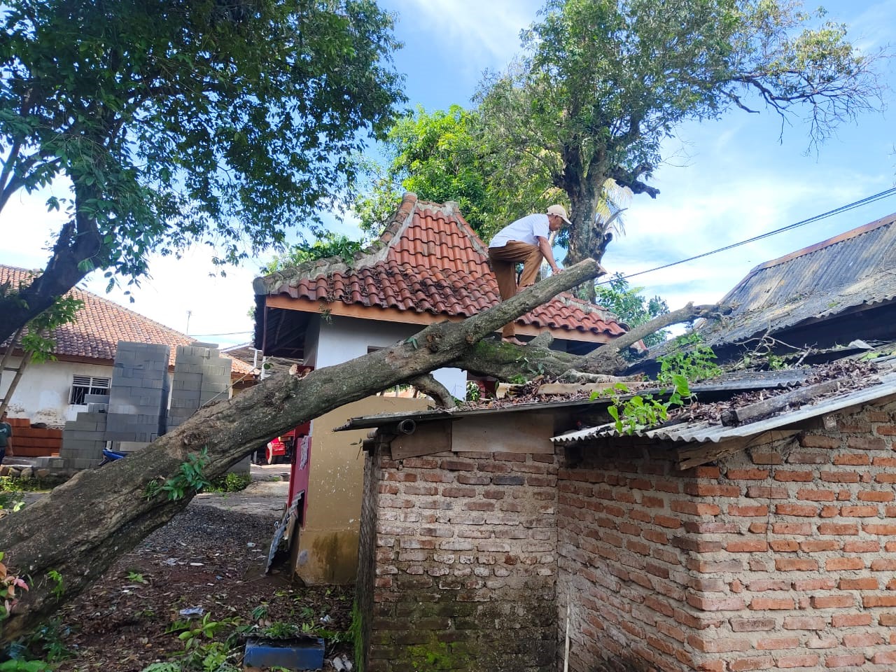 Rumah Warga Kuningan Tertimpa Pohon saat Hujan Disertai Angin Kencang