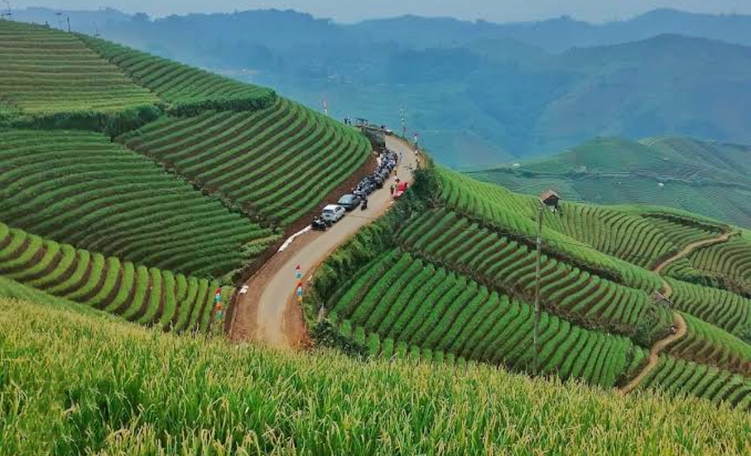 Prakiraan Cuaca di Majalengka Kamis 16 Mei 2024