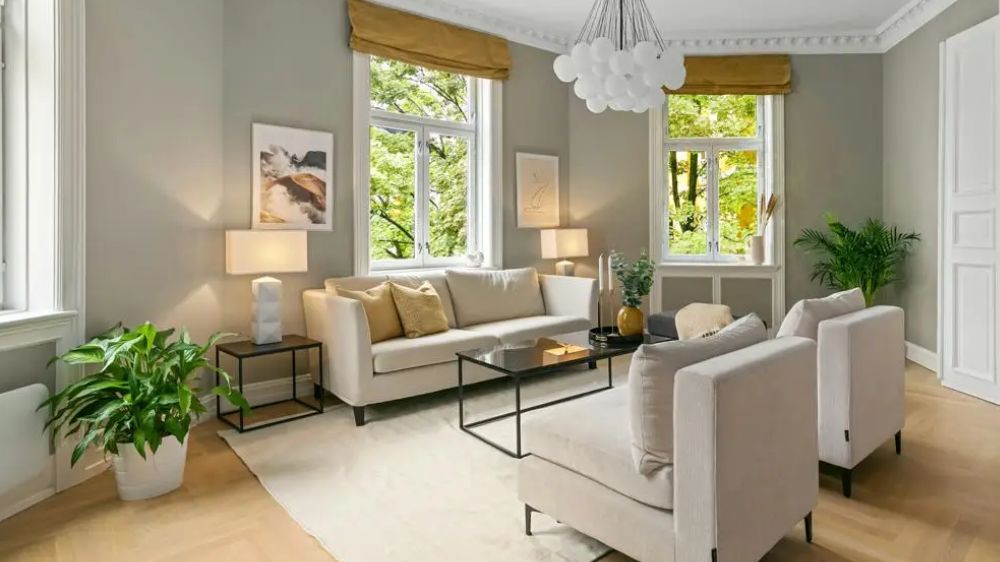 8 Tanaman Hias Compact untuk Sudut Rumah, Mudah Dirawat, Cantik, Menyegarkan dan Membawa Keberuntungan