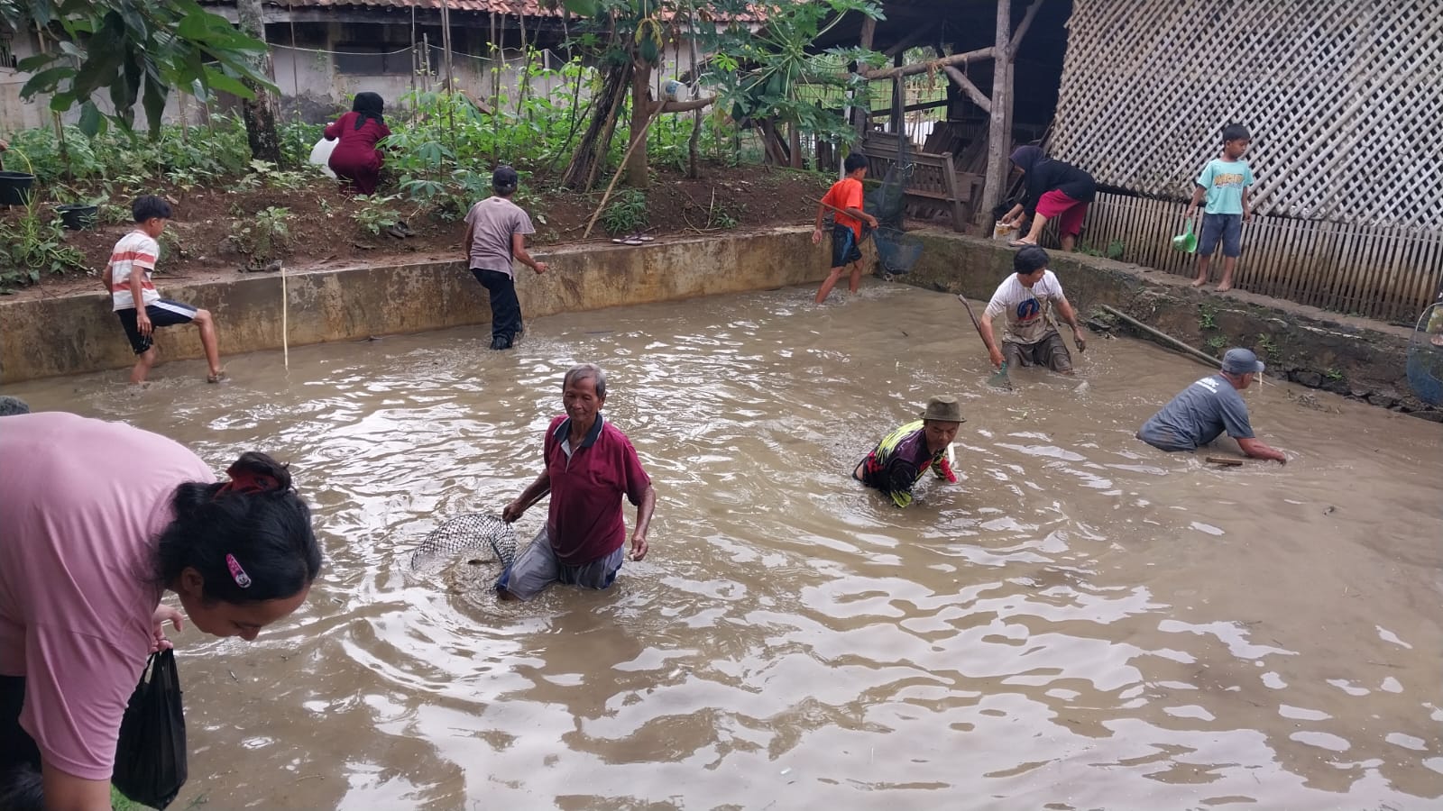 Syukuran Kemenangan Eman-Dena,  Warga Desa Cipeundeuy Antusias Gogo Ikan di Kolam