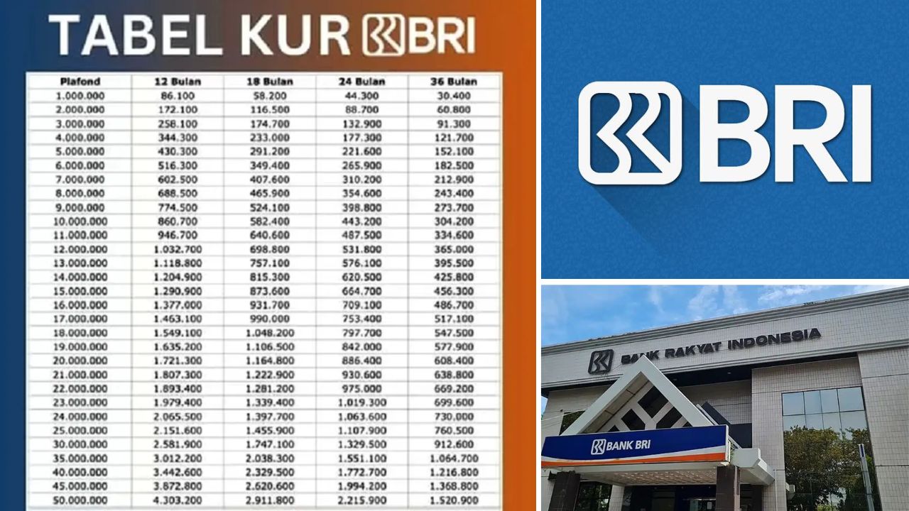 Cicilan Ringan Pinjaman Aman Menggunakan Tabel Angsuran KUR BRI Pinjaman 50 Juta Ini, Lengkap Dengan Syarat!