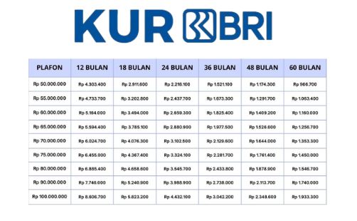 Pinjam Hingga 100 Juta, Berikut Syarat dan Tabel Angsuran KUR BRI Terbaru 2025 Edisi November