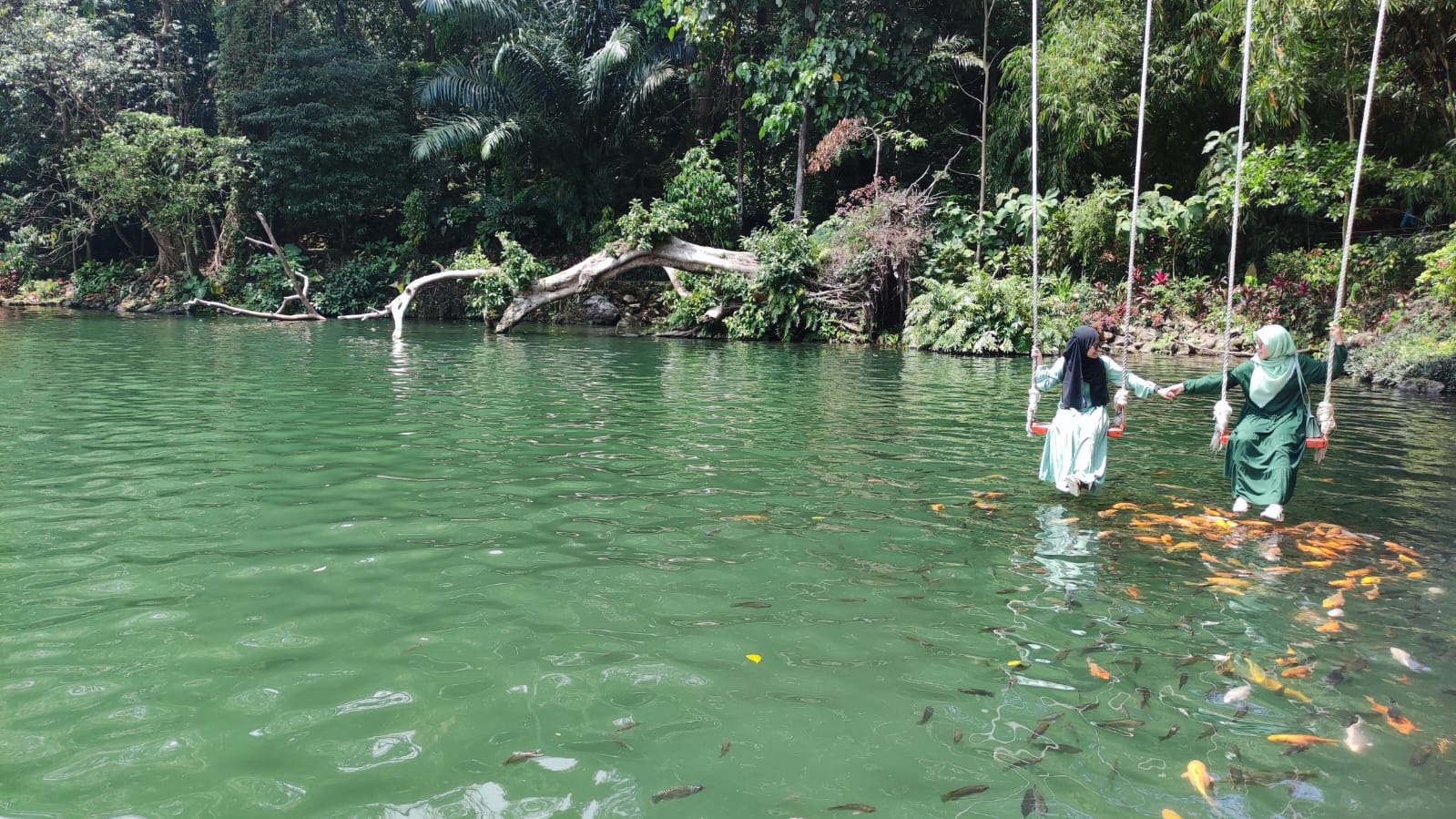 SEGAR! Ada Wisata Air Majalengka Dekat Tol Cisumdawu Loh, Bisa Foto dengan Ikan