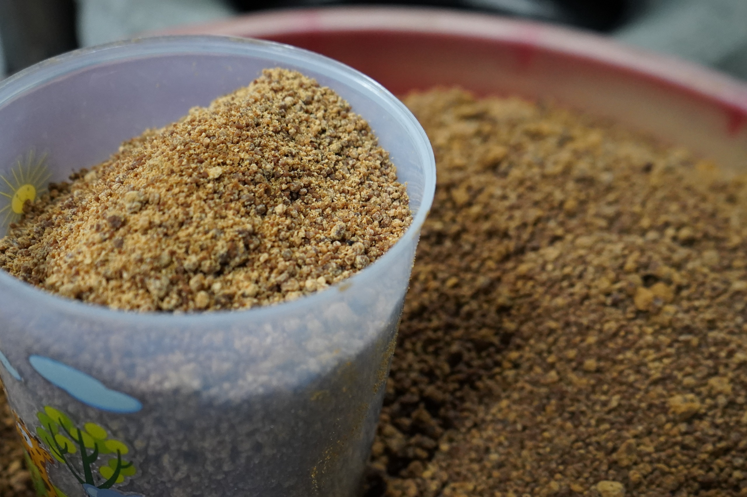 Lewat Pendampingan Gula Semut, Reforma Agraria Bangkitkan Ekonomi Desa Hargorejo Kulon Progo