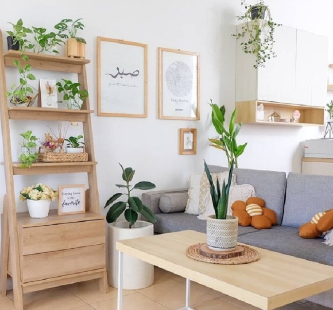 5 Tanaman Minimalis Hias yang Bikin Rumah Terlihat Lebih Mewah, Nomor 3 Favorit Kolektor