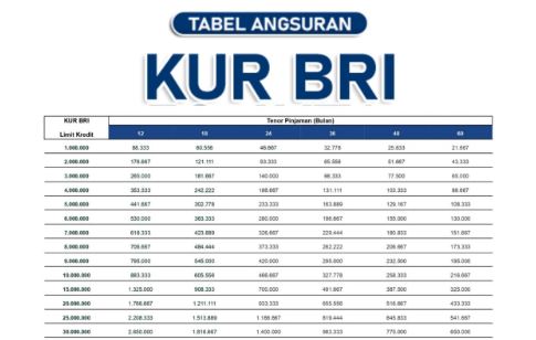 Daftar Tabel Angsuran KUR BRI 2026 Plafon Hingga 100 Juta, Berikut Syarat Pengajuan Lengkapnya