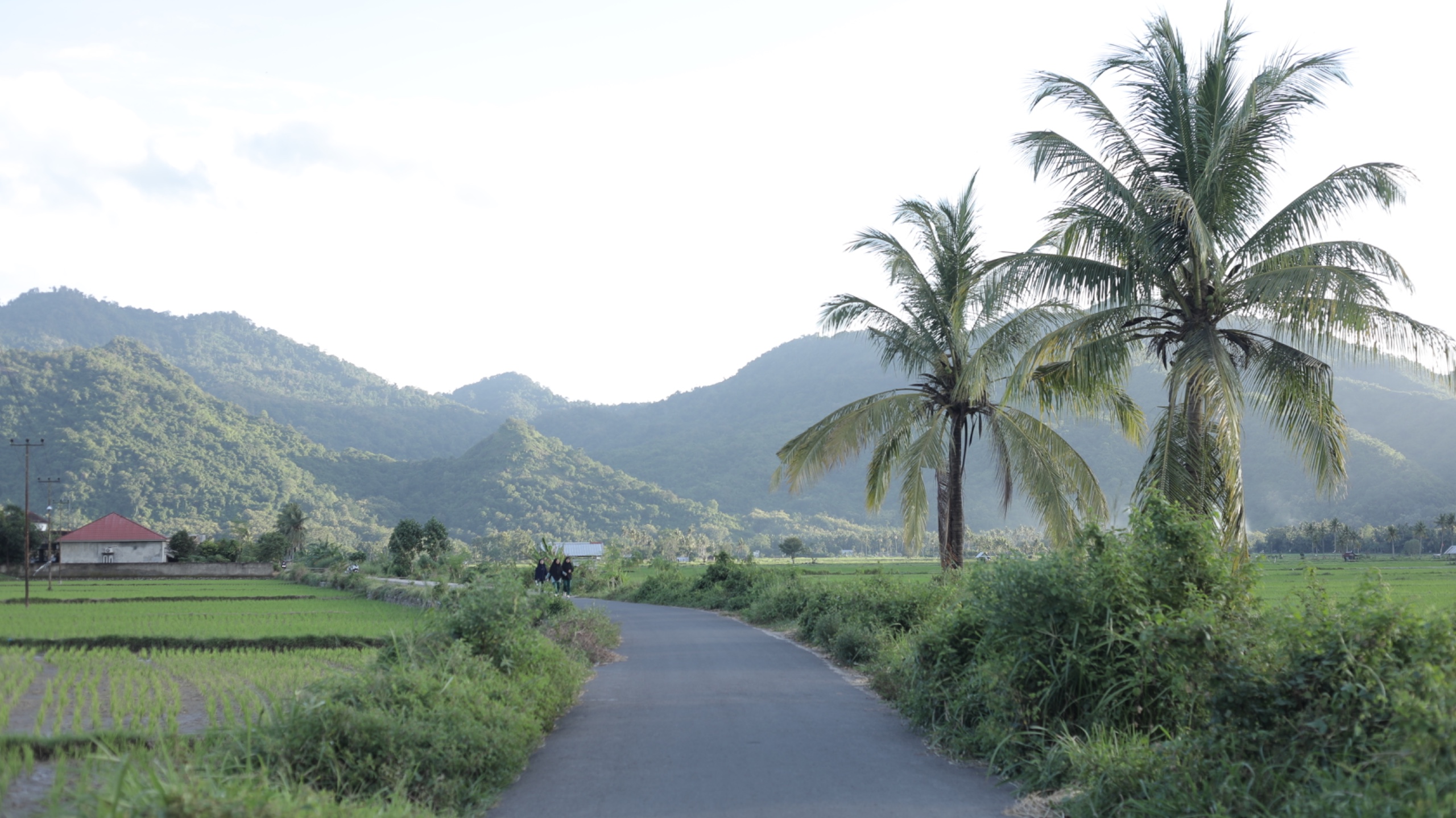 Berbasis Gotong Royong, Desa Manemeng Perkuat Ekosistem Ekonomi Kerakyatan melalui Program Desa BRILiaN