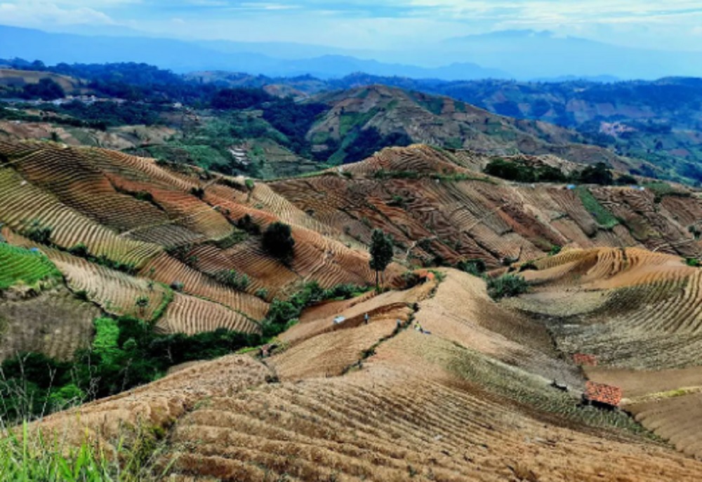 MENAKUTKAN! El Nino Bikin Jawa Barat Diprediksi Bakal Dilanda Kekeringan dan Kebakaran Hutan