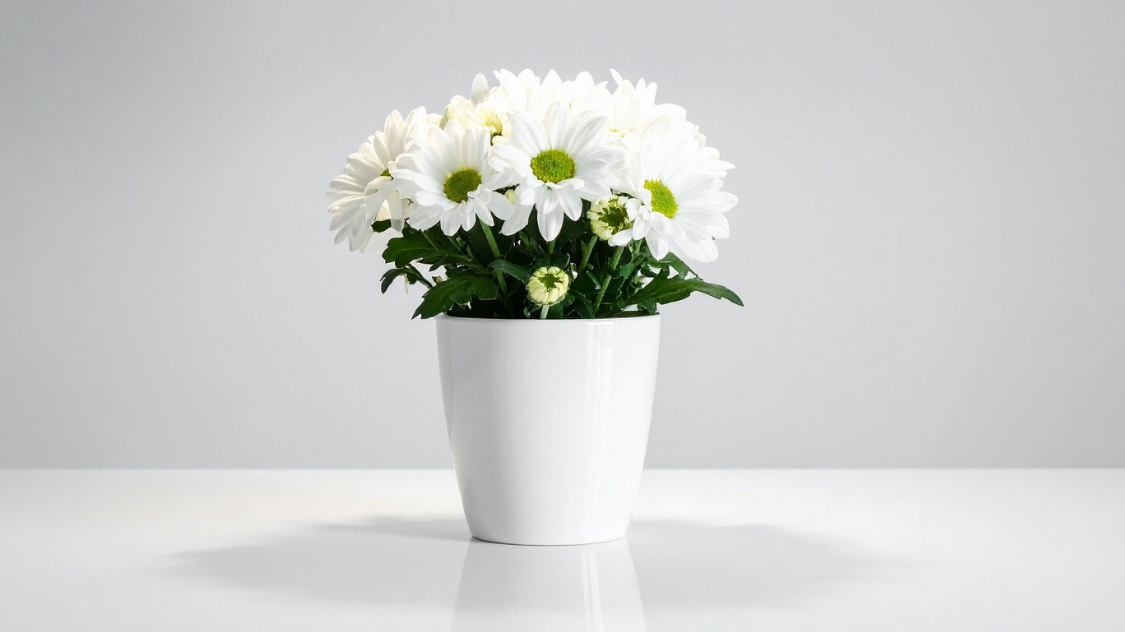 7 Tanaman Hias yang Bikin Ruangan Lebih Sehat dan Dapat Membawa Energi Positif!