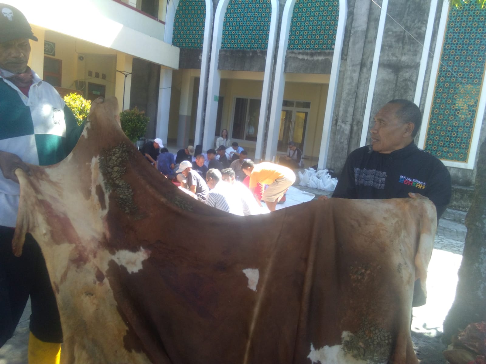 Idul Adha 1444H, Harga Kulit Sapi Turun