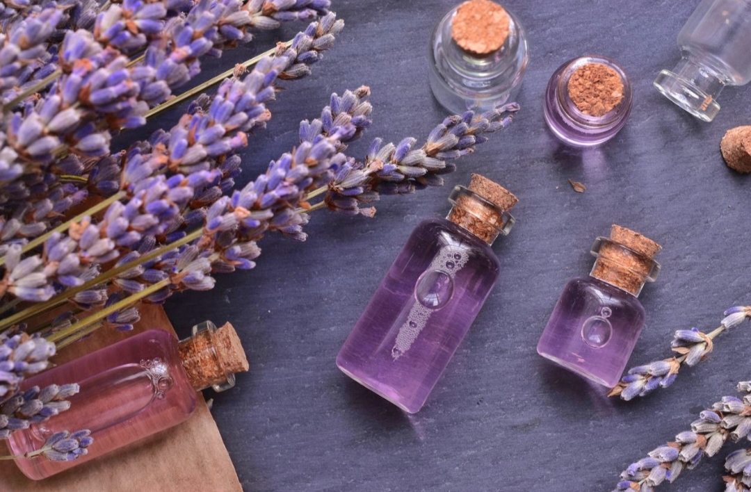Minyak Lavender Kaya Akan Manfaat Untuk Kulit Wajah Loh! Ini Dia Beberapa Manfaatnya