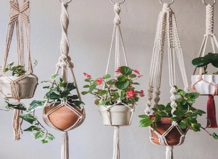 7 Tanaman Hias Gantung Minimalis Favorit untuk Mempercantik Interior Rumah Masa Kini, Simak Disini