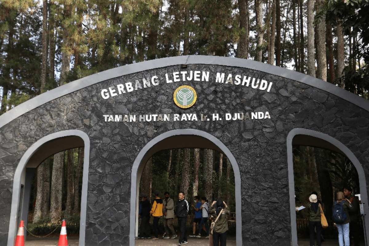 Berwisata Menikmati Keindahan dan Keanekaragaman Taman Hutan Raya Ir. H. Juanda Bandung