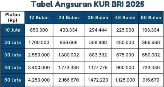 Angsuran Hingga 5 Tahun, Pinjam KUR BRI 50 Juta Angsurannya Berapa Perbulan November 2025? Berikut Infonya